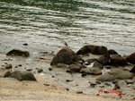 DSC06962aa