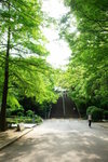 陽光小路, 周圍全被樹林包圍, 幸好天守閣在很高處, 否則會很難找
