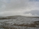 IMG_0365