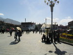IMG_0253
