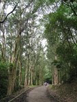 大城石澗 001