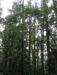 KIF_0911
