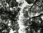 KIF_0912