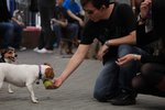 IMG_0447