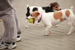 IMG_0485