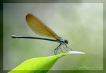 IMG_0797 豆豆