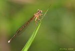 IMG_4279豆蜋03