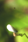 Image144小小小主角