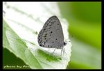 IMG_5814 董衣琉璃灰