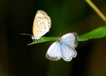 IMG_4719 小吉傾計