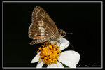 IMG_0053 EDITED