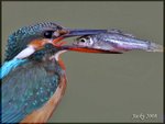 IMG_0857 試味專家