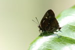 IMG_0469