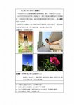 順德逢簡水鄉_三水荷花世界_Page_2
