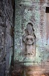 IMG_9255
