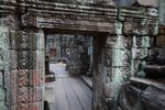 IMG_9259