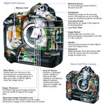 EOS SLR