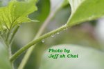 Img_0145web