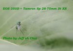 Img_0146web