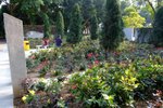 DSCF0045