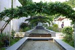 DSCF0047