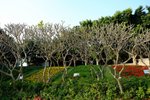 DSCF0058
