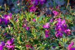 DSCF0063