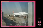 Philippine Airline.... seat quite dirty @_@