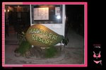 MANGO- RAY RESORT