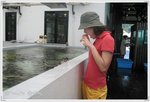 Haha...Aiyana & 海龜