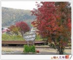 到達上川(馬尺)已見紅葉^^