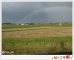 美瑛數遇「彩虹」