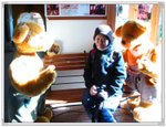 Snapshot@Teddy Bear Farm