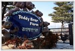 Teddy Bear Farm