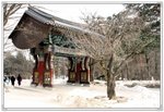 Snapshot@新興寺