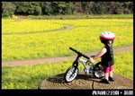 Little J-_08