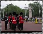 Changing guards@Buckingham Palace