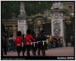 Changing guards@Buckingham Palace