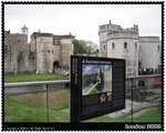 I'm@Tower of London