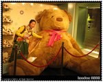 Big Bear@Harrods