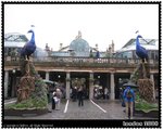 The Covent Garden@London (科芬園)