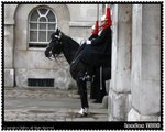 Horse Guards Parade@London (皇家騎兵衛隊閱兵場)