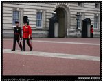 Changing guards@Buckingham Palace