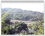 Ngong Ping_05