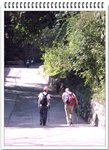 Ngong Ping_06