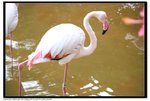 Snapshot@九龍公園