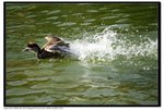 Snapshot@九龍公園