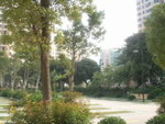 On- site Views