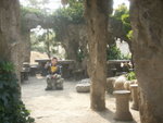Environment of Muifaichi