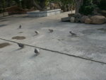 just 3 seconds...all come here together take pic @_@